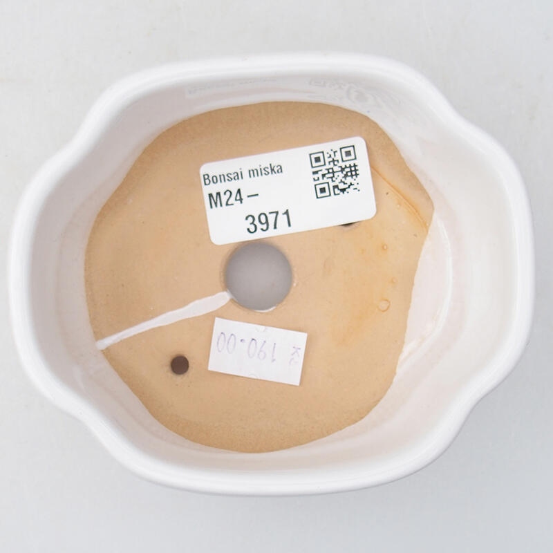 Bonsaischaal van keramiek 11 x 8,5 x 3,5 cm, wit