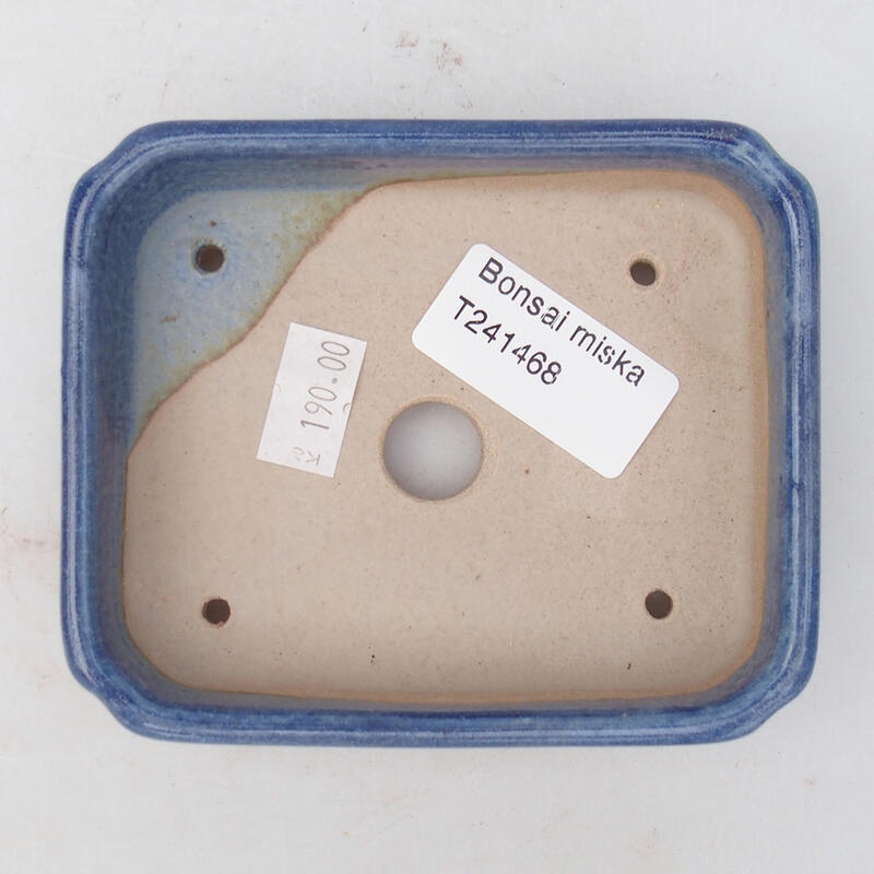 Bonsaischaal van keramiek 11 x 9,5 x 3 cm, kleur blauw