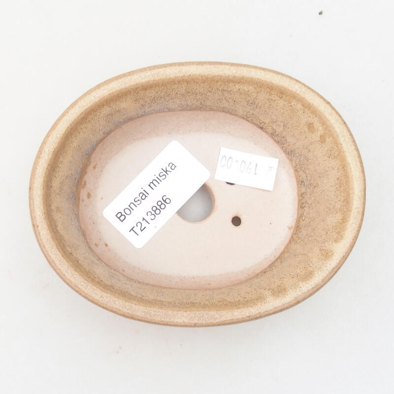 Bonsaischaal van keramiek 11 x 9 x 4 cm, kleur beige