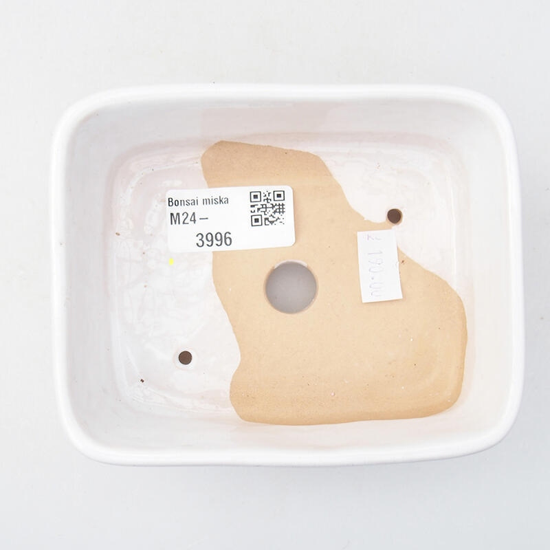 Bonsaischaal van keramiek 12 x 10 x 4 cm, kleur wit