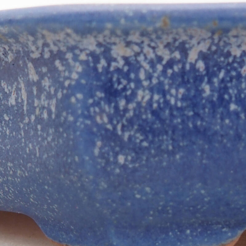 Bonsaischaal van keramiek 12 x 12 x 2,5 cm, kleur blauw