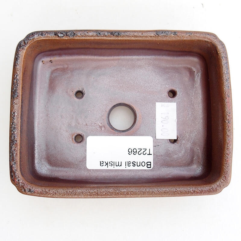 Bonsaischaal van keramiek 12 x 9 x 3,5 cm, bruin