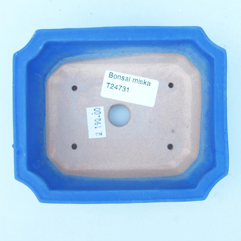 Bonsaischaal van keramiek 13 x 10,5 x 4 cm, kleur blauw