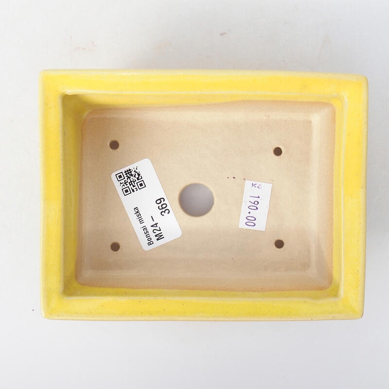 Bonsaischaal van keramiek 13 x 10 x 3,5 cm, geel