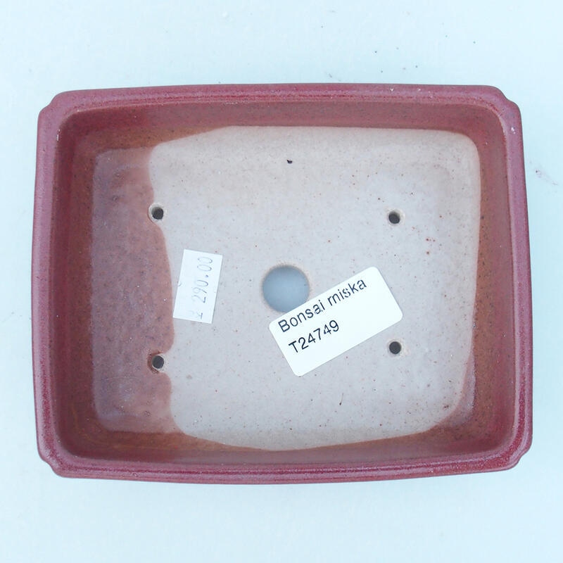 Bonsaischaal van keramiek 14 x 11 x 4 cm, roze