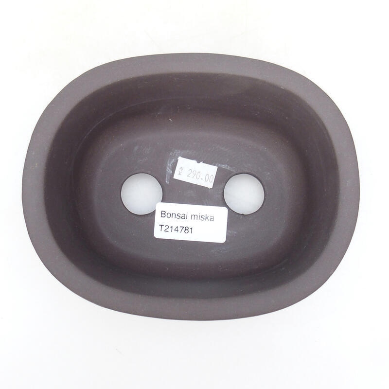 Bonsaischaal van keramiek 15,5 x 12,5 x 7 cm, kleur zwart
