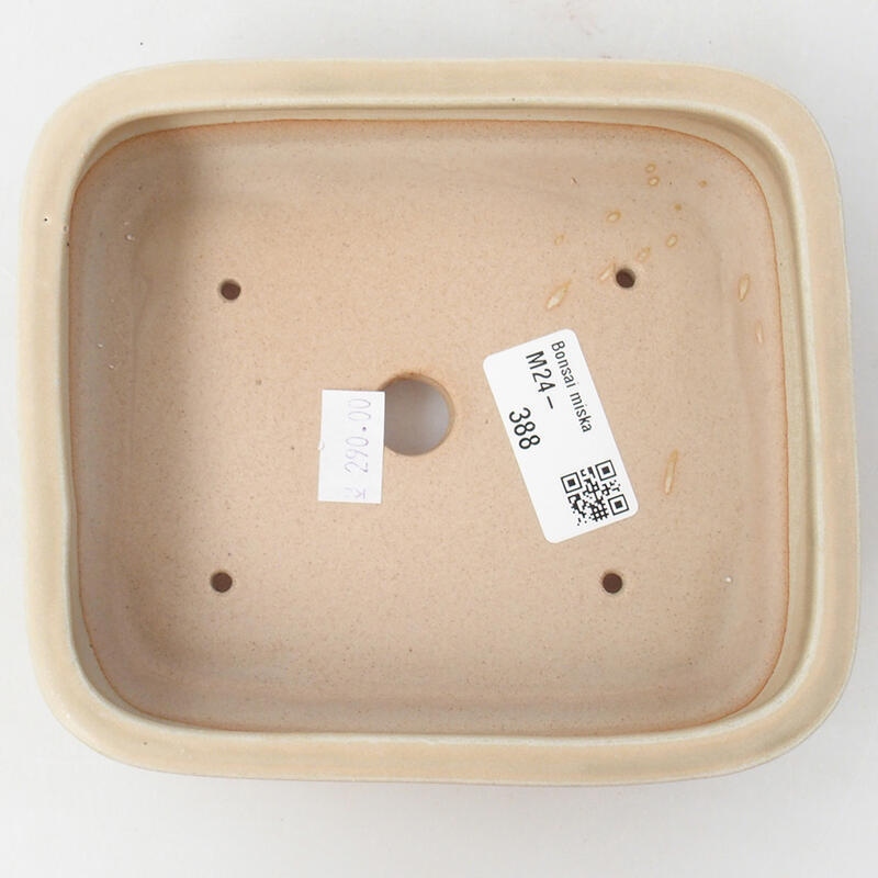 Bonsaischaal van keramiek 15 x 12,5 x 4,5 cm, kleur beige
