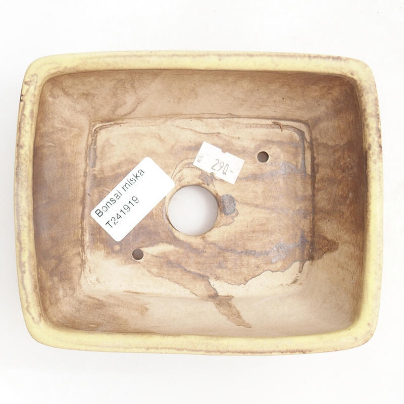 Bonsaischaal van keramiek 15 x 12,5 x 5,5 cm, groen