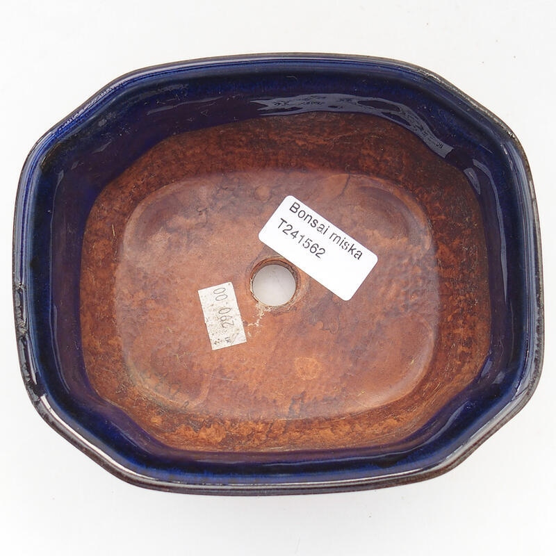 Bonsaischaal van keramiek 15 x 12,5 x 6,5 cm, kleur blauw