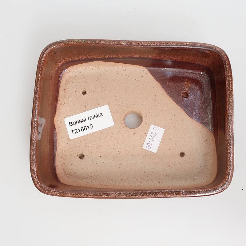 Bonsaischaal van keramiek 15 x 12 x 4,5 cm, bruin