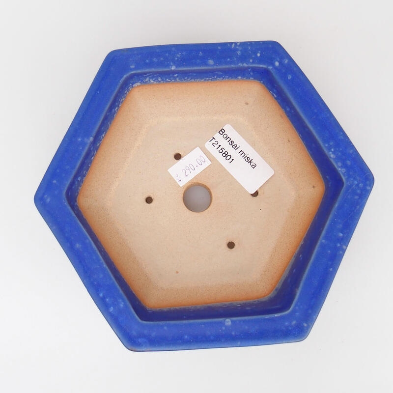 Bonsaischaal van keramiek 15 x 14 x 5,5 cm, kleur blauw