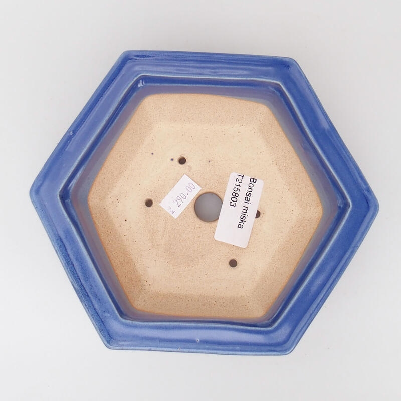 Bonsaischaal van keramiek 15 x 14 x 5,5 cm, kleur blauw