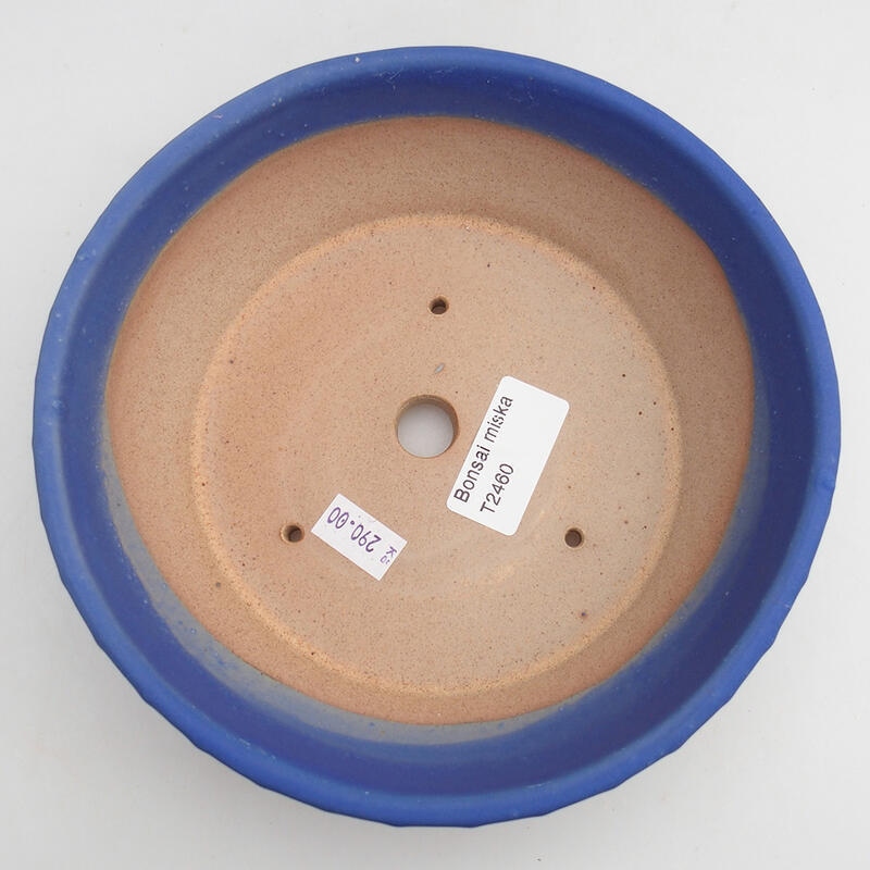 Bonsaischaal van keramiek 17,5 x 17,5 x 5 cm, kleur blauw