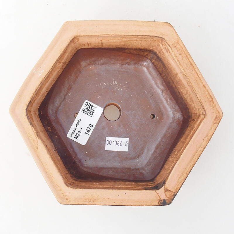 Bonsaischaal van keramiek 17 x 15 x 6 cm, roze