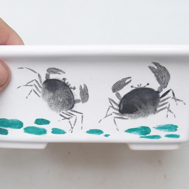 Bonsaischaal van keramiek 22 x 18 x 7 cm, wit