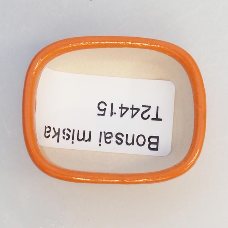 Bonsaischaaltje van keramiek 4 x 3,5 x 1,5 cm, oranje