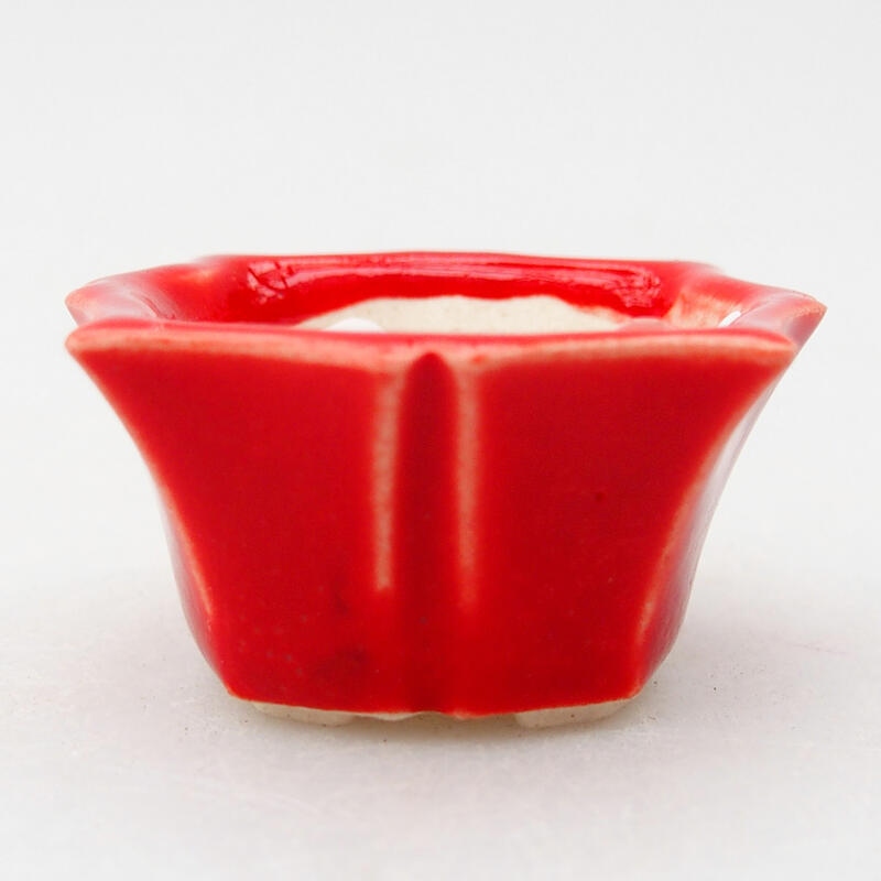 Bonsaischaaltje van keramiek 4 x 3,5 x 2 cm, kleur rood