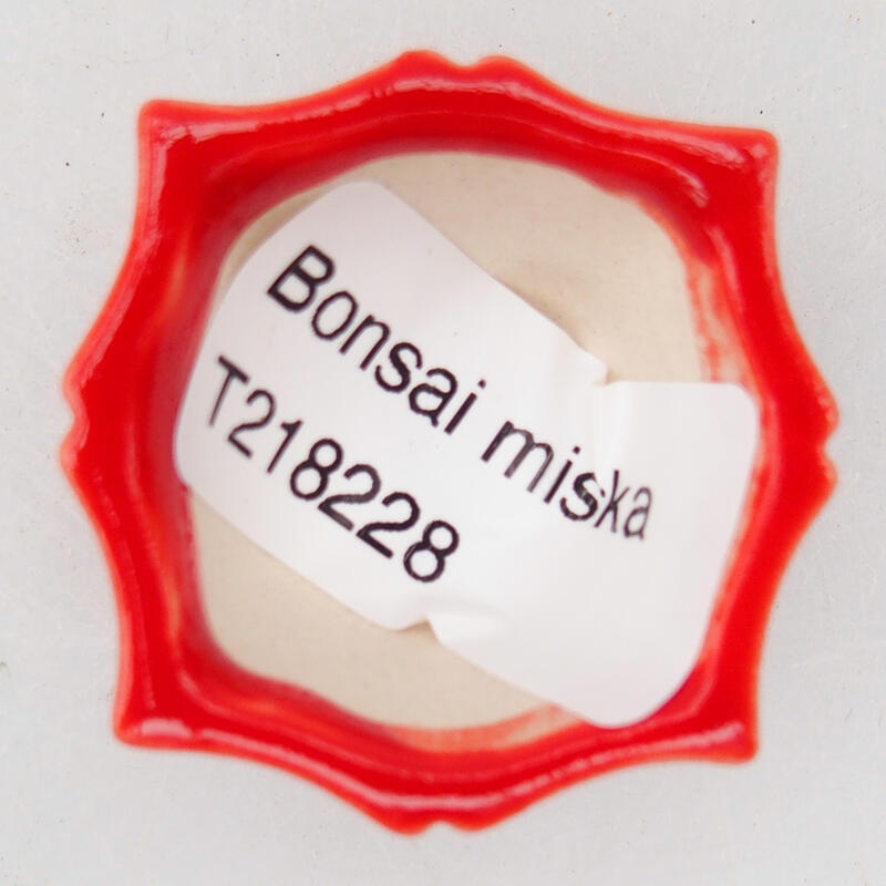 Bonsaischaaltje van keramiek 4 x 3,5 x 2 cm, kleur rood