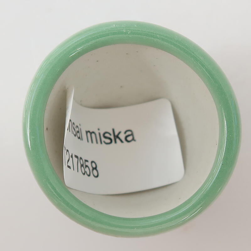 Bonsaischaaltje van keramiek 4 x 4 x 3 cm, groen