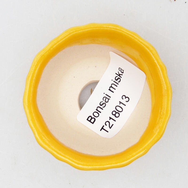 Bonsaischaal van keramiek 5,5 x 5,5 x 3 cm, geel