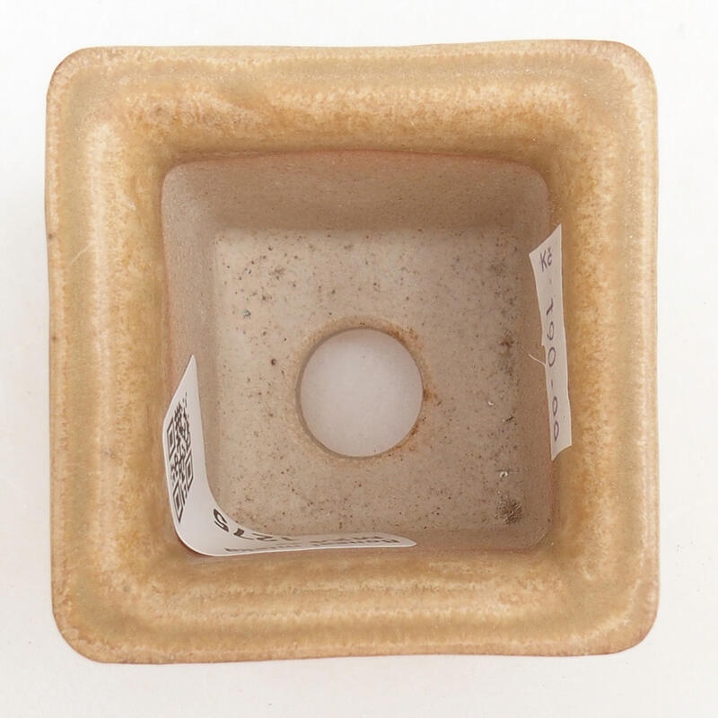 Bonsaischaal van keramiek 5,5 x 5,5 x 5 cm, kleur beige