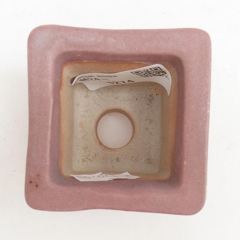 Bonsaischaaltje van keramiek 5,5 x 5,5 x 5 cm, roze