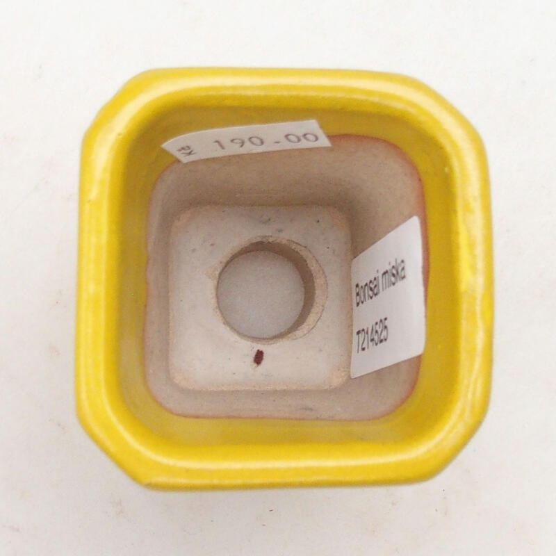 Bonsaischaal van keramiek 5,5 x 5,5 x 7 cm, geel