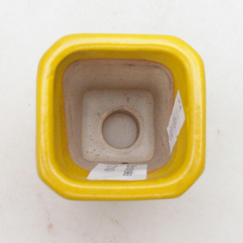 Bonsaischaal van keramiek 5,5 x 5,5 x 7 cm, geel