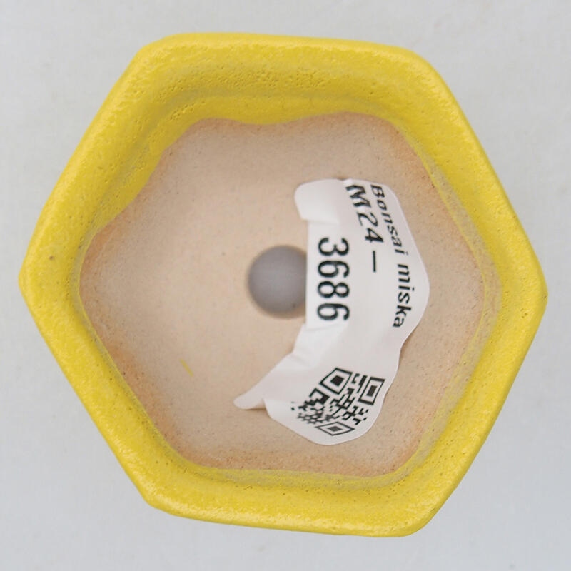 Bonsaischaaltje van keramiek 5,5 x 5 x 3 cm, geel