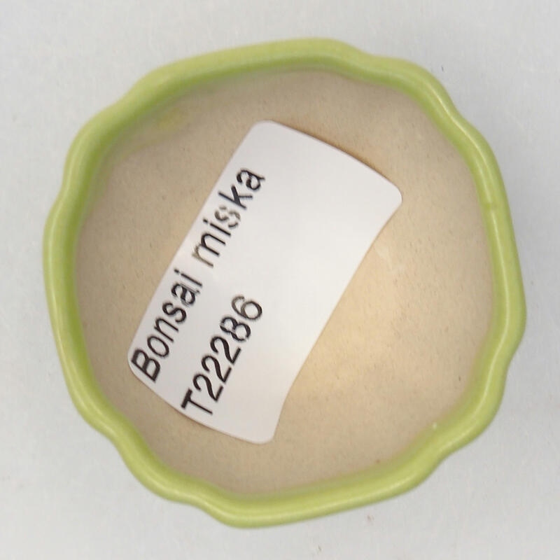 Bonsaischaaltje van keramiek 5 x 5 x 2,5 cm, groen