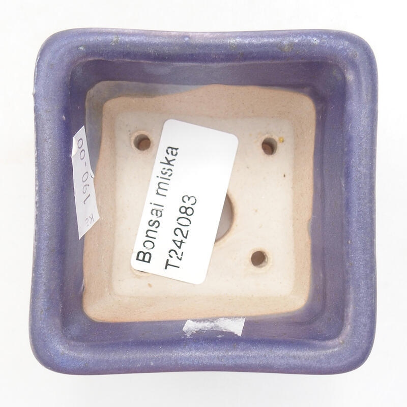 Bonsaischaal van keramiek 6,5 x 6,5 x 5 cm, kleur paars