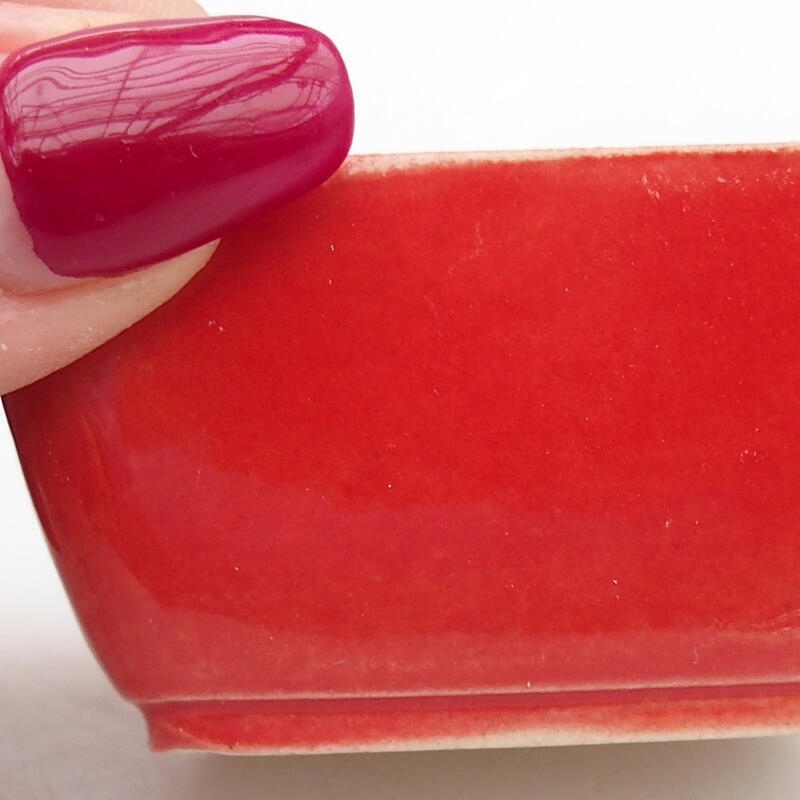 Bonsaischaaltje van keramiek 6 x 4 x 3 cm, kleur rood