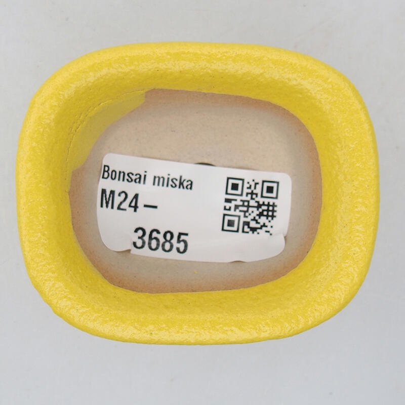 Bonsaischaaltje van keramiek 6 x 5 x 3 cm, geel