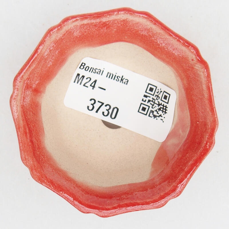 Bonsaischaal van keramiek 6 x 6 x 2,5 cm, kleur rood