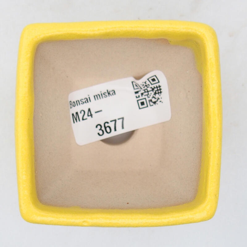 Bonsaischaal van keramiek 6 x 6 x 4,5 cm, geel