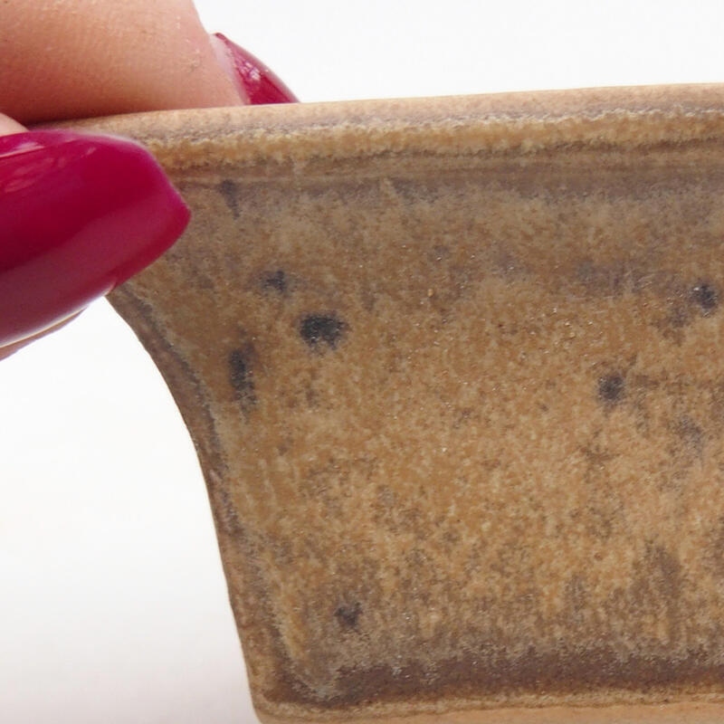 Bonsaischaaltje van keramiek 6 x 6 x 4 cm, kleur beige