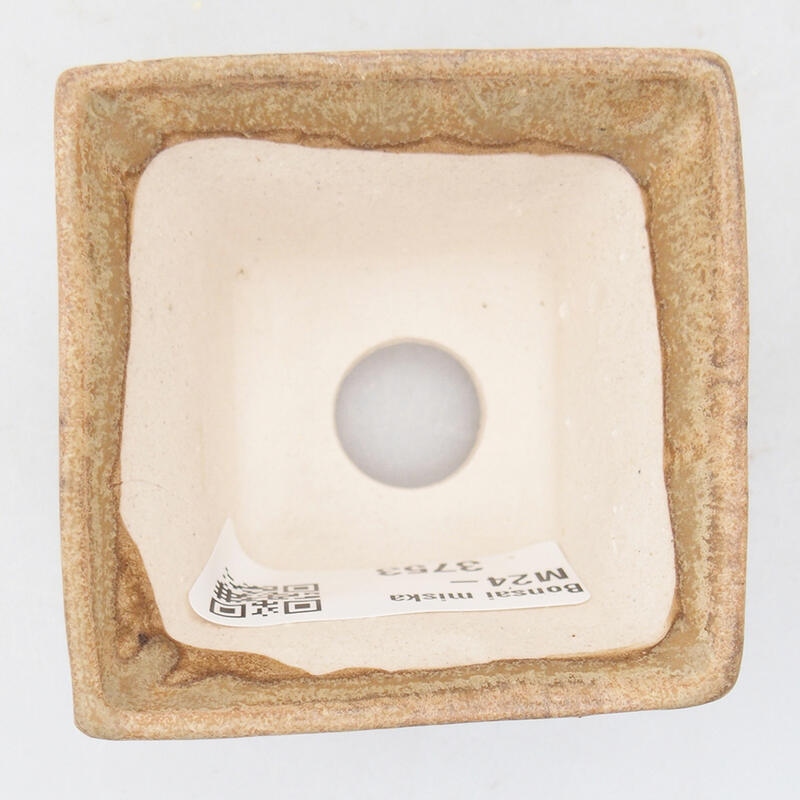 Bonsaischaaltje van keramiek 6 x 6 x 4 cm, kleur beige
