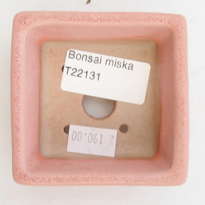 Bonsaischaaltje van keramiek 7 x 7 x 3 cm, roze