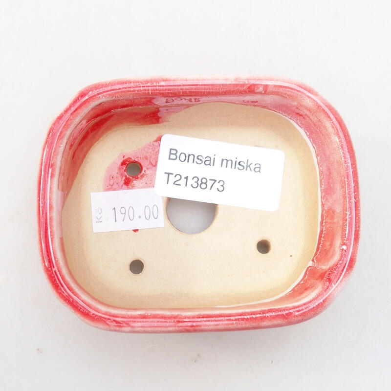 Bonsaischaal van keramiek 8,5 x 7 x 3,5 cm, rood en wit