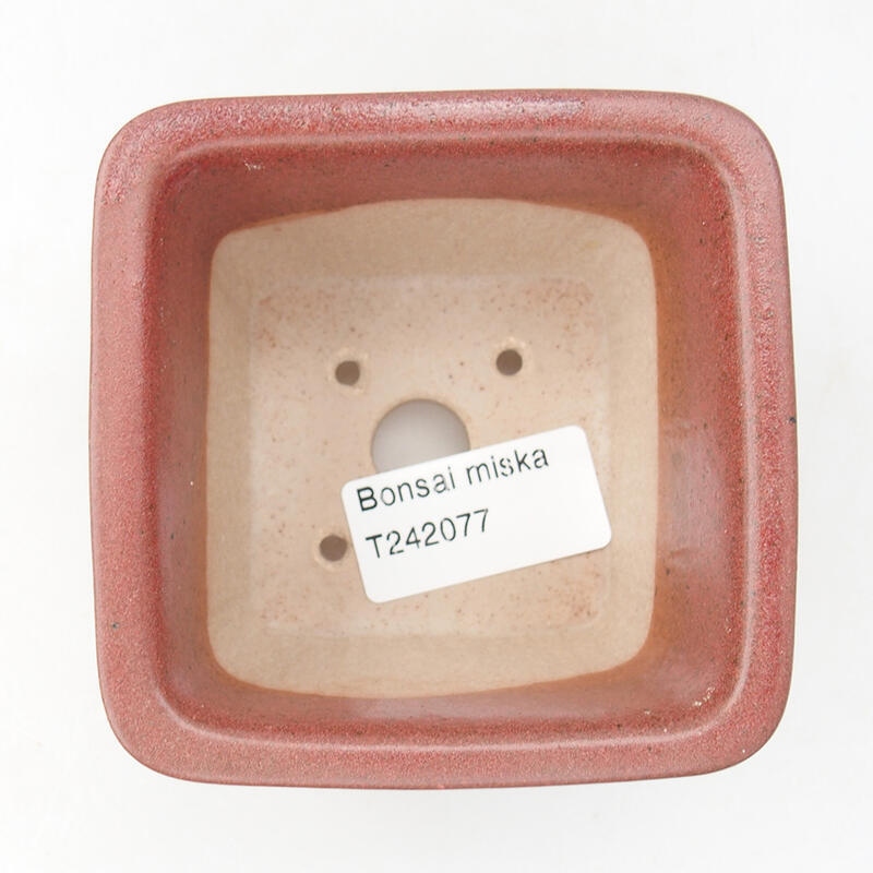 Bonsaischaal van keramiek 8,5 x 8,5 x 5,5 cm, bordeauxrood