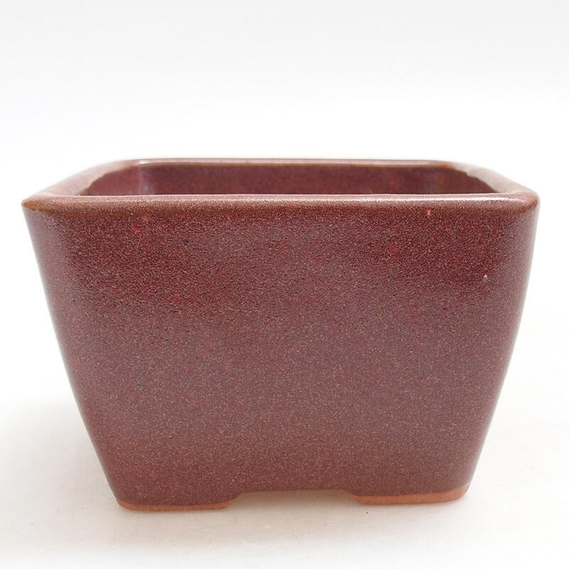 Bonsaischaal van keramiek 8,5 x 8,5 x 5,5 cm, bordeauxrood
