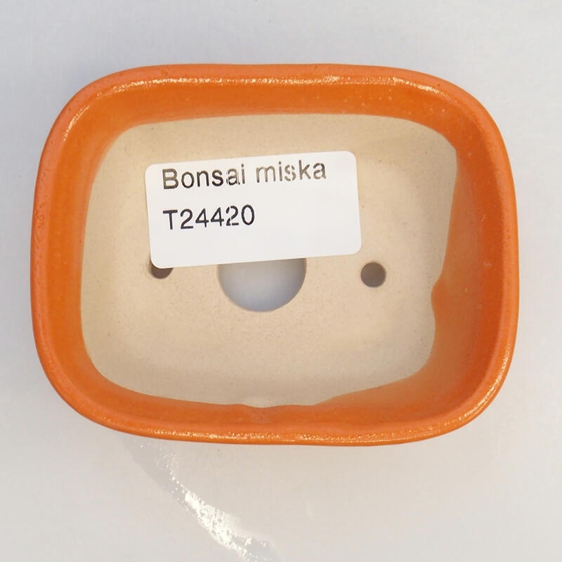 Bonsaischaal van keramiek 8 x 6 x 3 cm, oranje