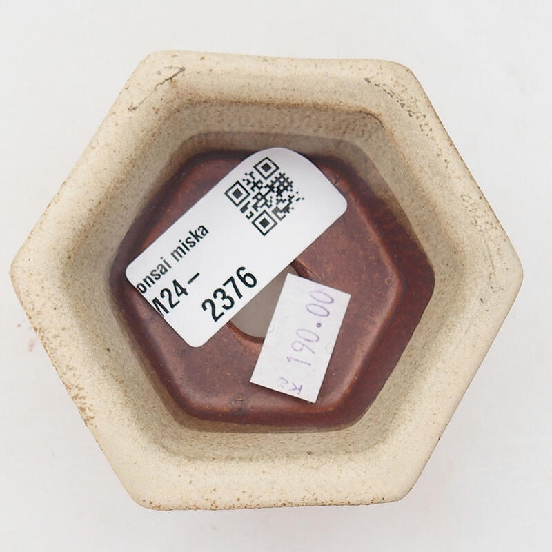 Bonsaischaal van keramiek 8 x 7 x 4 cm, kleur beige