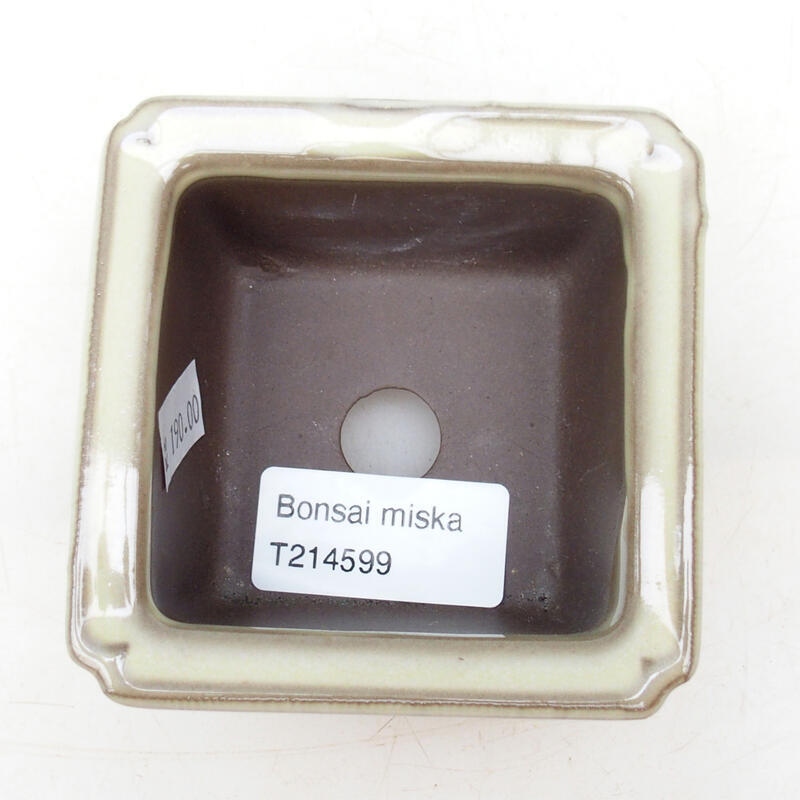 Bonsaischaal van keramiek 8 x 8 x 4,5 cm, kleur beige
