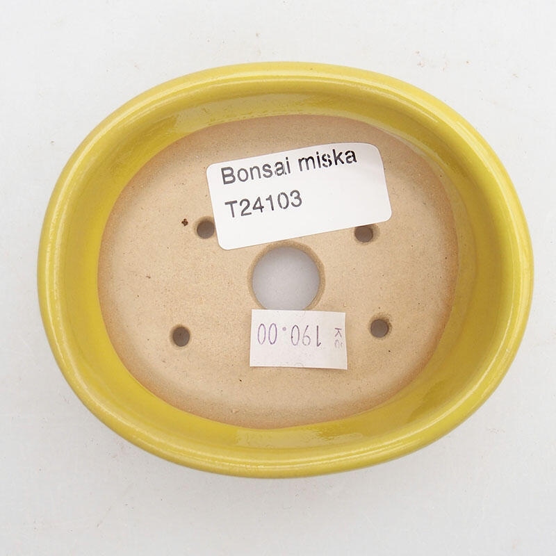 Bonsaischaal van keramiek 9 x 7,5 x 3,5 cm, geel
