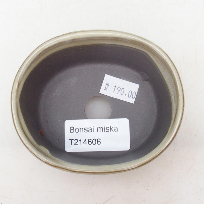 Bonsaischaal van keramiek 9 x 7,5 x 4 cm, kleur beige