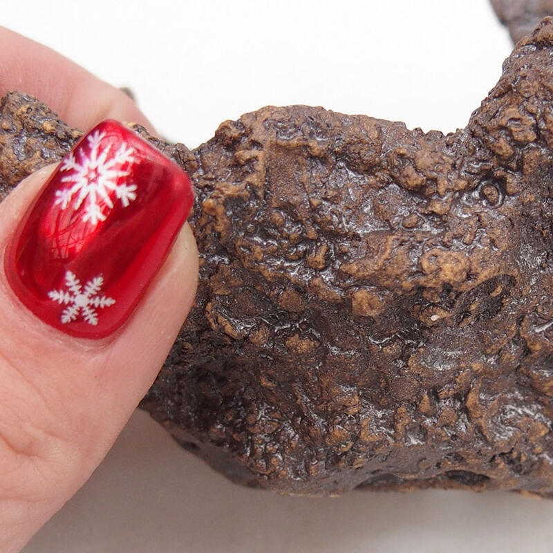 Keramisch Schelp 10 x 11 x 9,5 cm , kleur bruin