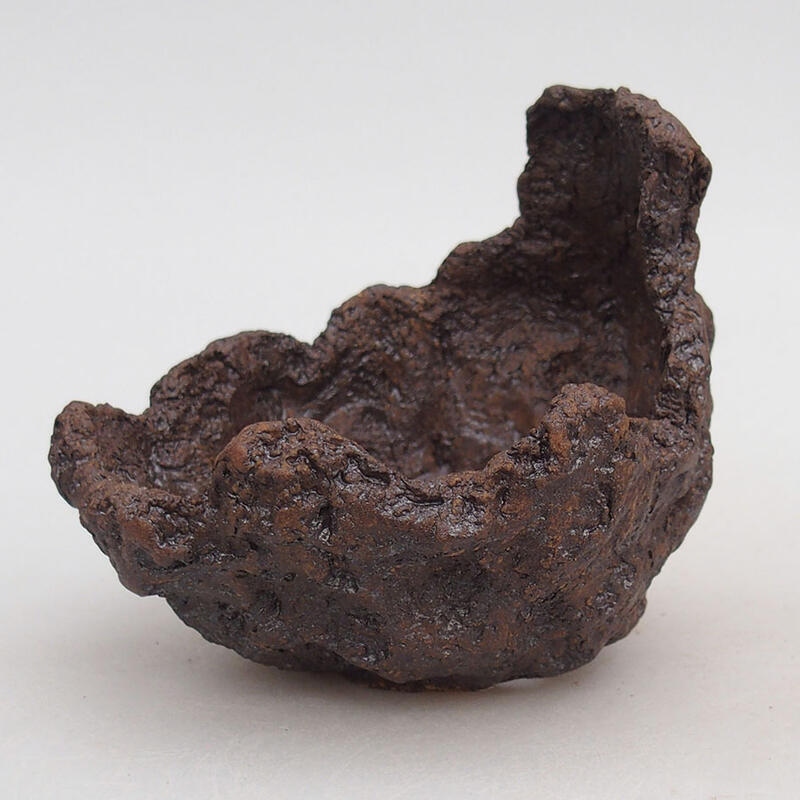 Keramisch Schelp 10 x 11 x 9 cm , kleur bruin