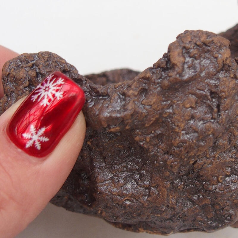 Keramisch Schelp 10 x 11 x 9 cm , kleur bruin