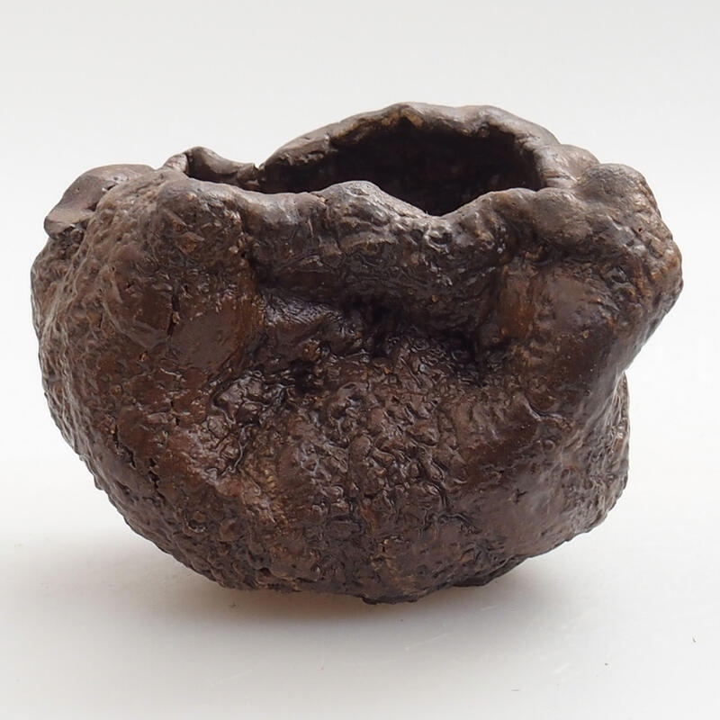 Keramische schelp 5 x 3 x 5 cm , kleur groenbruin